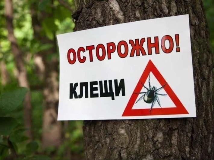 Вся территория Томской области является эндемичной по клещевому вирусному энцефалиту.