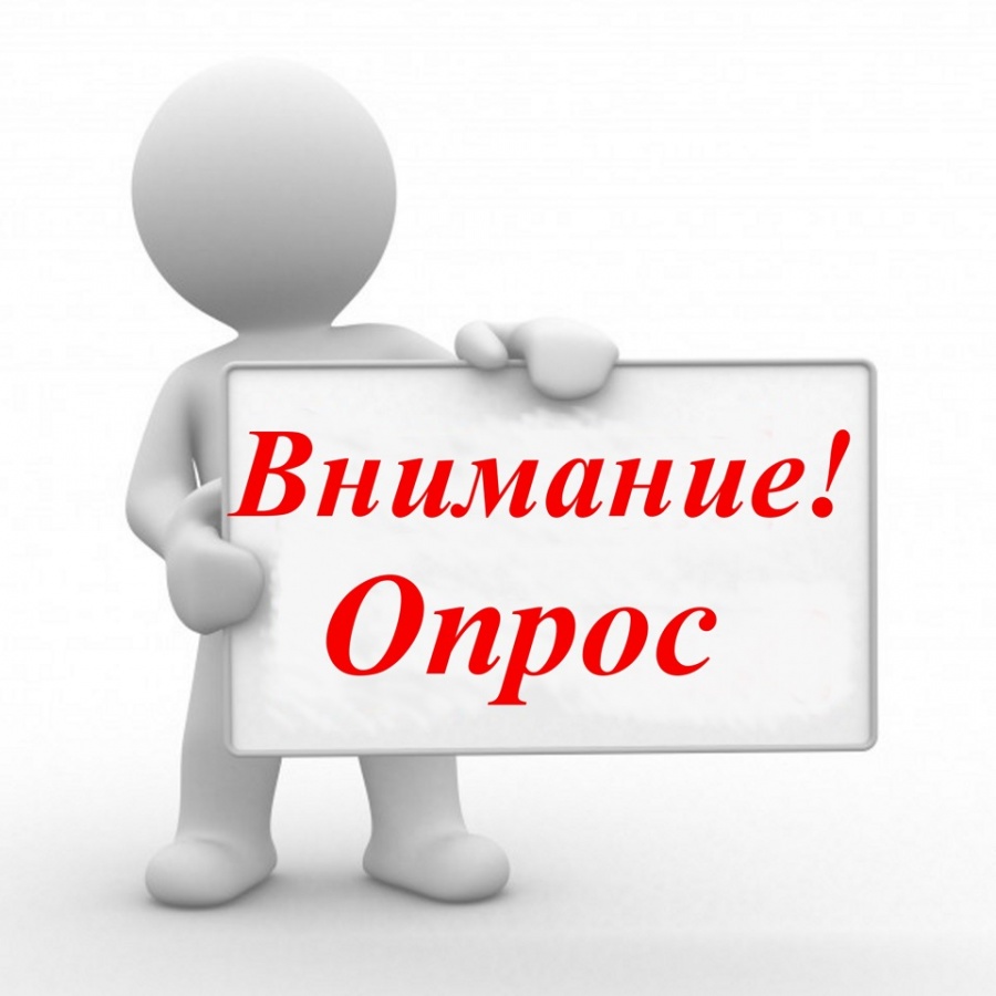 Проводиться опрос граждан в целях учёта мнения жителей сельских поселений.