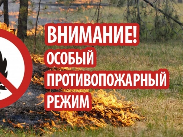 Установлен особый противопожарный режим на территории Томской области.