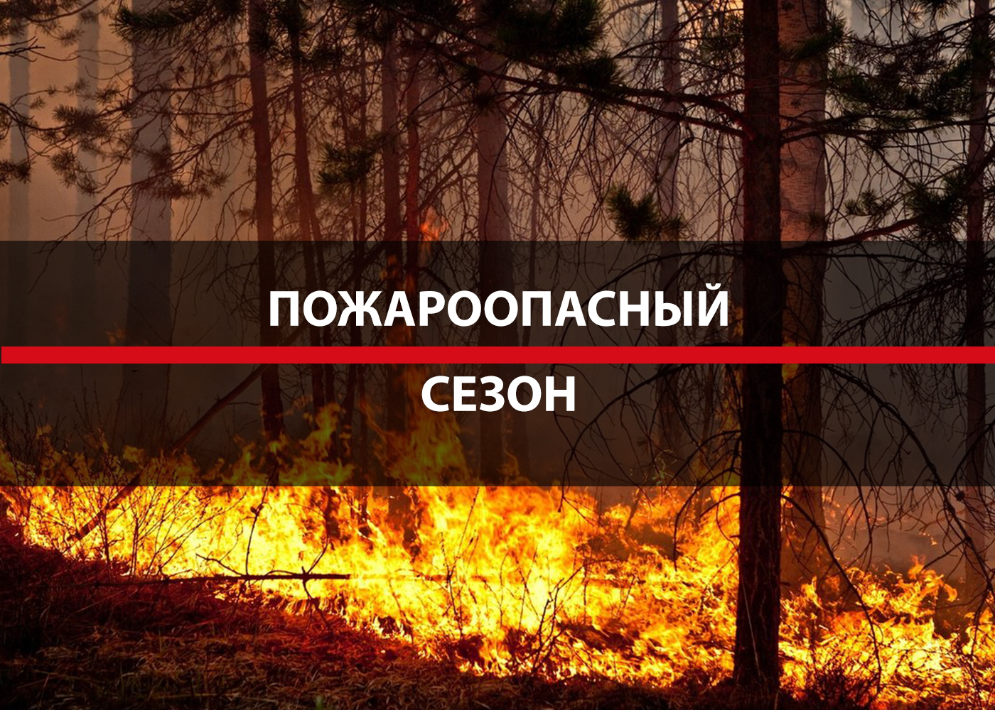 06.05.25-12.05.25 г. местами по области сохранится высокая пожароопасность (4 класс).
